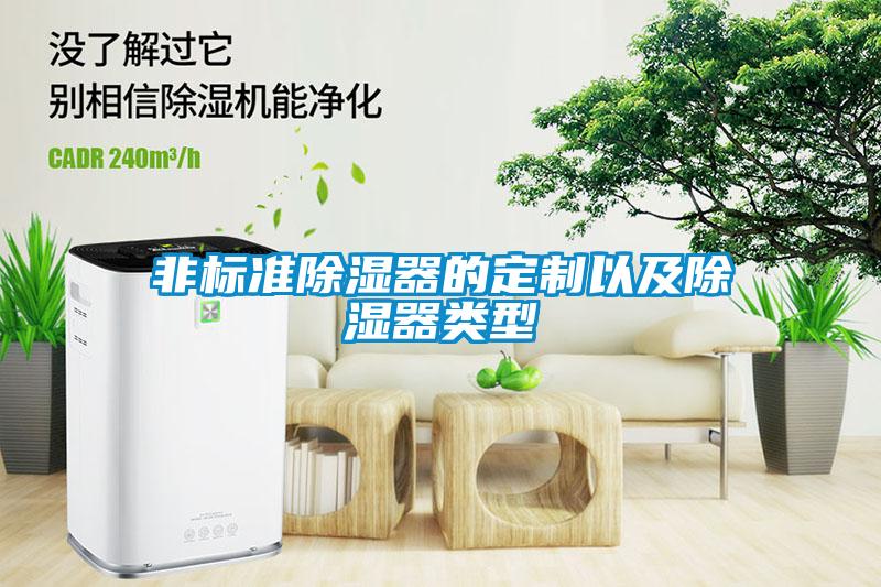 非标准除湿器的定制以及除湿器类型