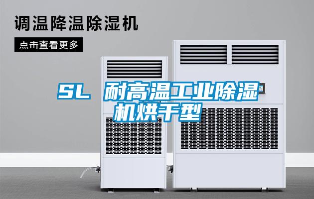 SL 耐高温工业蜜柚直播APP正版下载烘干型