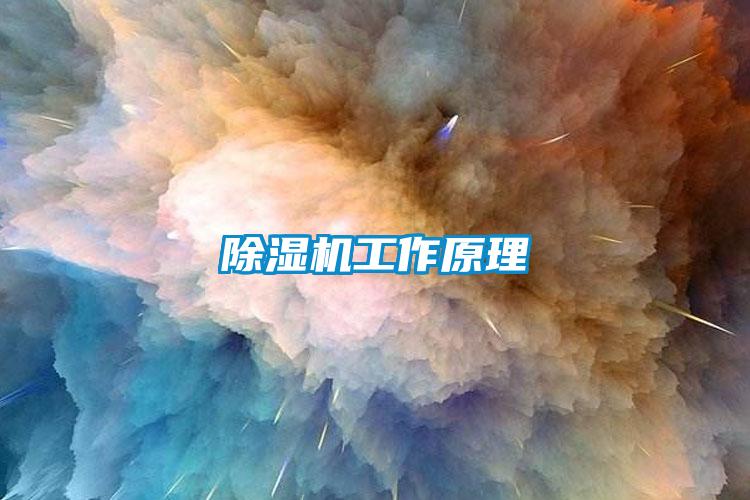 蜜柚直播APP正版下载工作原理