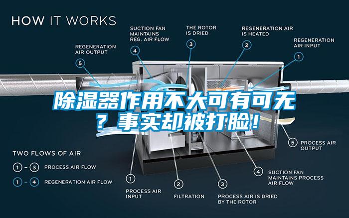 除湿器作用不大可有可无？事实却被打脸！