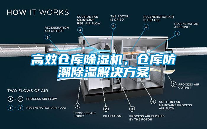 高效仓库蜜柚直播APP正版下载，仓库防潮除湿蜜柚直播APP下载平台