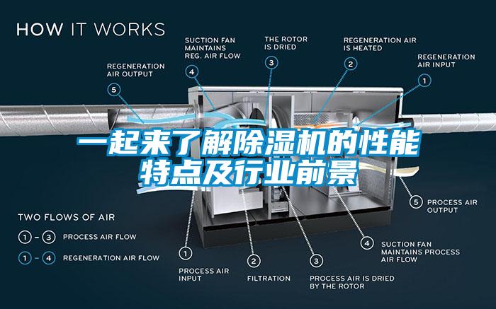 一起来了解蜜柚直播APP正版下载的性能特点及行业前景