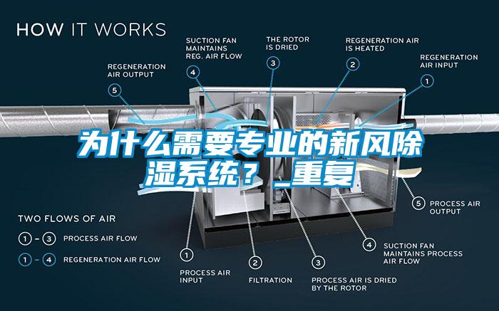 为什么需要专业的新风除湿系统？_重复