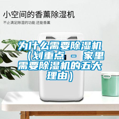 为什么需要蜜柚直播APP正版下载（划重点 - 家里需要蜜柚直播APP正版下载的五大理由）