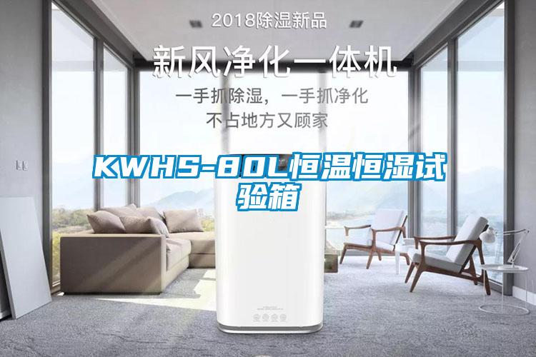 KWHS-80L恒温恒湿试验箱