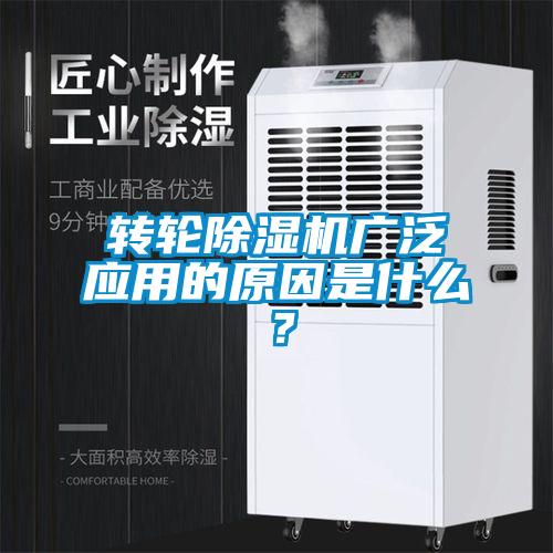 转轮蜜柚直播APP正版下载广泛应用的原因是什么？