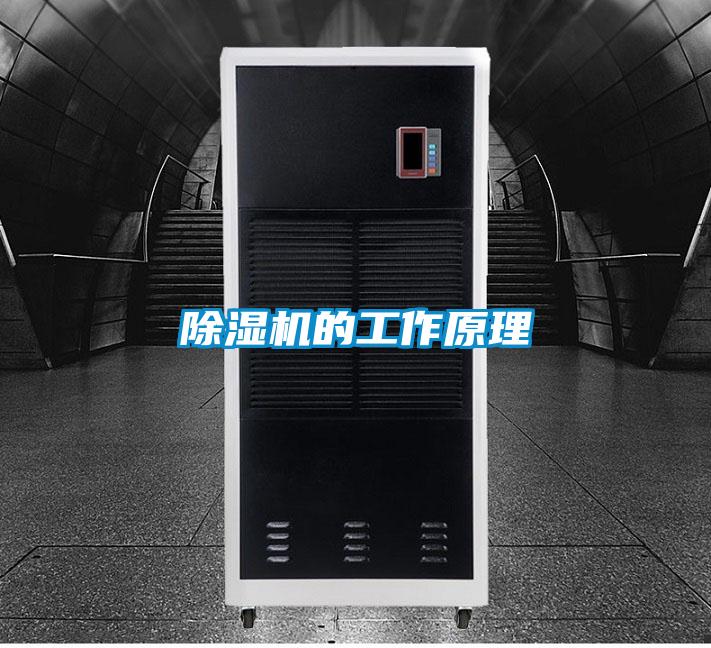 蜜柚直播APP正版下载的工作原理