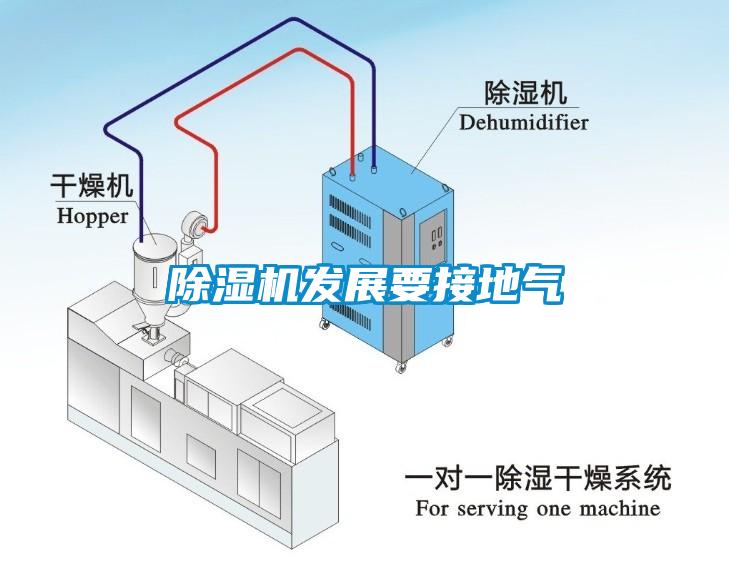 蜜柚直播APP正版下载发展要接地气