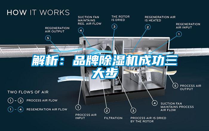 解析：品牌蜜柚直播APP正版下载成功三大步