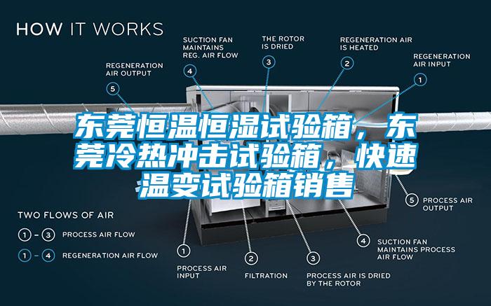 东莞恒温恒湿试验箱，东莞冷热冲击试验箱，快速温变试验箱销售