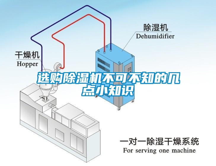 选购蜜柚直播APP正版下载不可不知的几点小知识