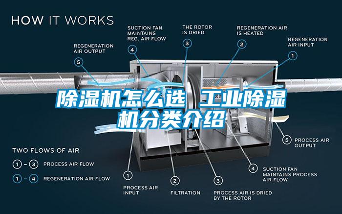 蜜柚直播APP正版下载怎么选 工业蜜柚直播APP正版下载分类介绍