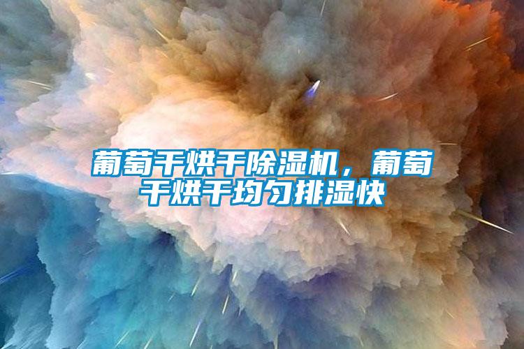 葡萄干烘干蜜柚直播APP正版下载，葡萄干烘干均匀排湿快