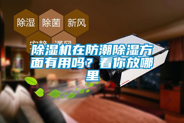 蜜柚直播APP正版下载在防潮除湿方面有用吗？看你放哪里