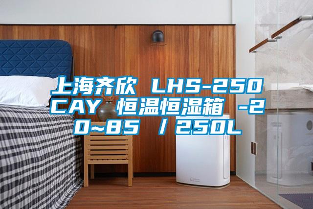 上海齐欣 LHS-250CAY 恒温恒湿箱 -20~85℃／250L