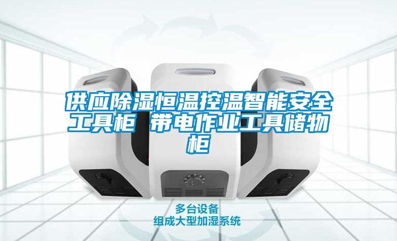 供应除湿恒温控温智能安全工具柜 带电作业工具储物柜