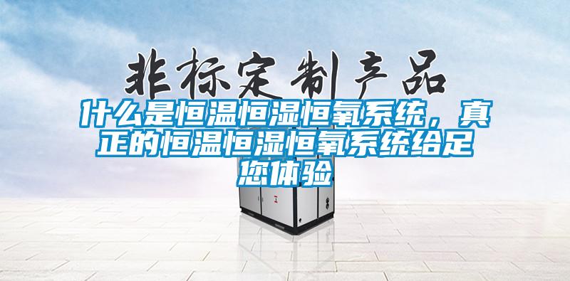 什么是恒温恒湿恒氧系统，真正的恒温恒湿恒氧系统给足您体验