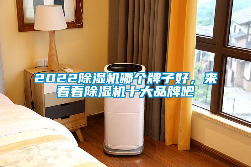 2022蜜柚直播APP正版下载哪个牌子好，来看看蜜柚直播APP正版下载十大品牌吧