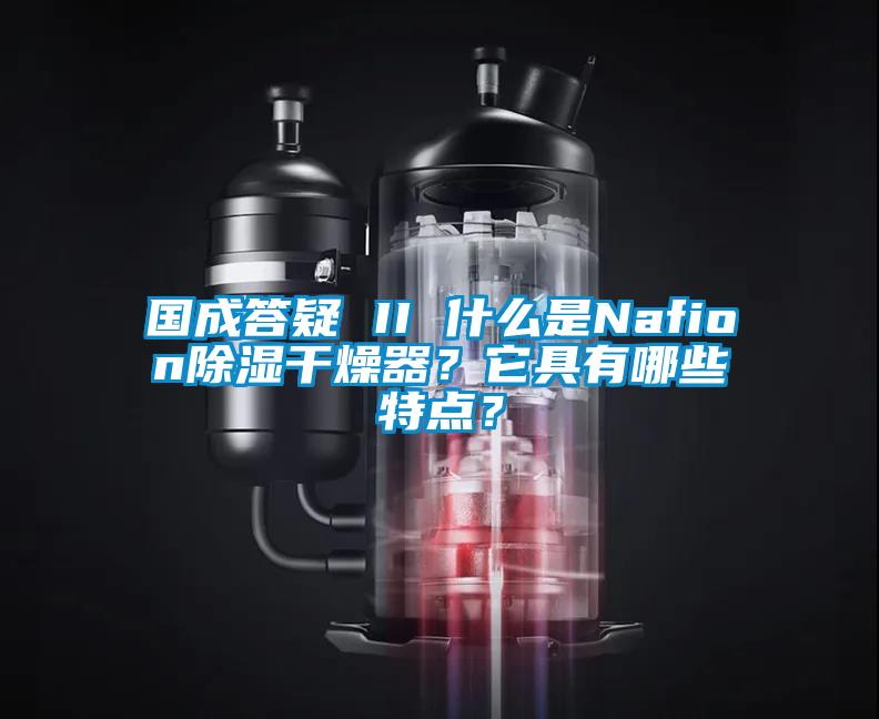 国成答疑 II 什么是Nafion除湿干燥器？它具有哪些特点？