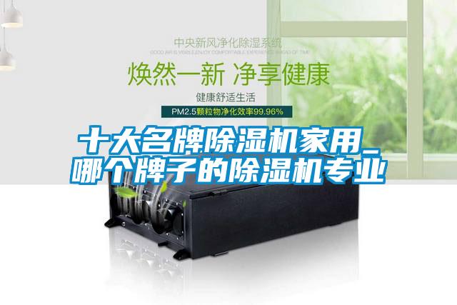 十大名牌蜜柚直播APP正版下载家用_哪个牌子的蜜柚直播APP正版下载专业