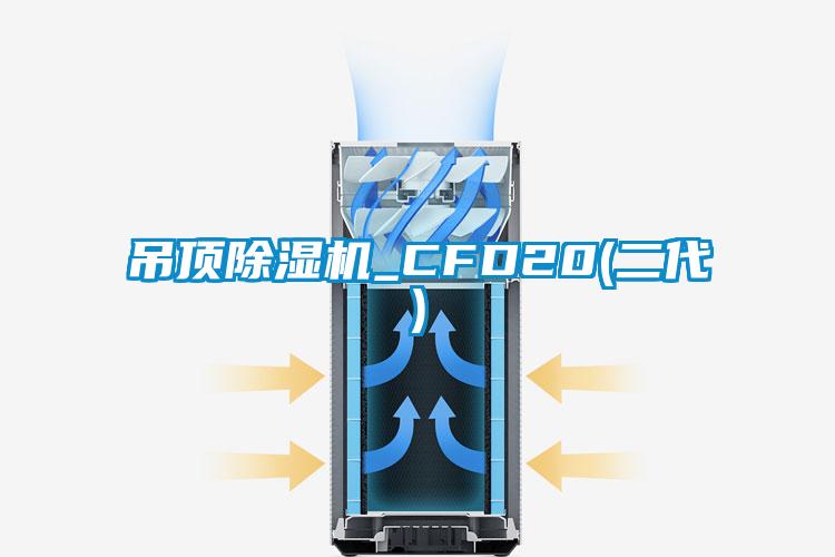 吊顶蜜柚直播APP正版下载_CFD20(二代)