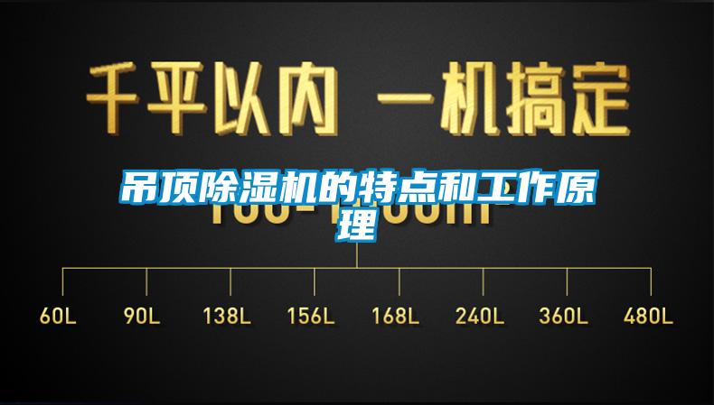 吊顶蜜柚直播APP正版下载的特点和工作原理