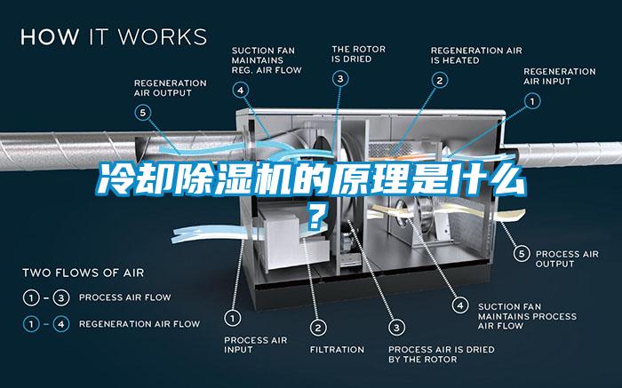 冷却蜜柚直播APP正版下载的原理是什么？