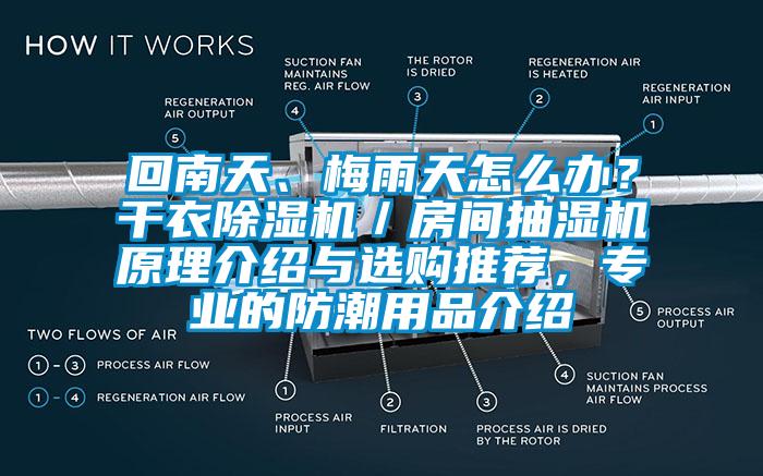 回南天、梅雨天怎么办？干衣蜜柚直播APP正版下载／房间抽湿机原理介绍与选购推荐，专业的防潮用品介绍