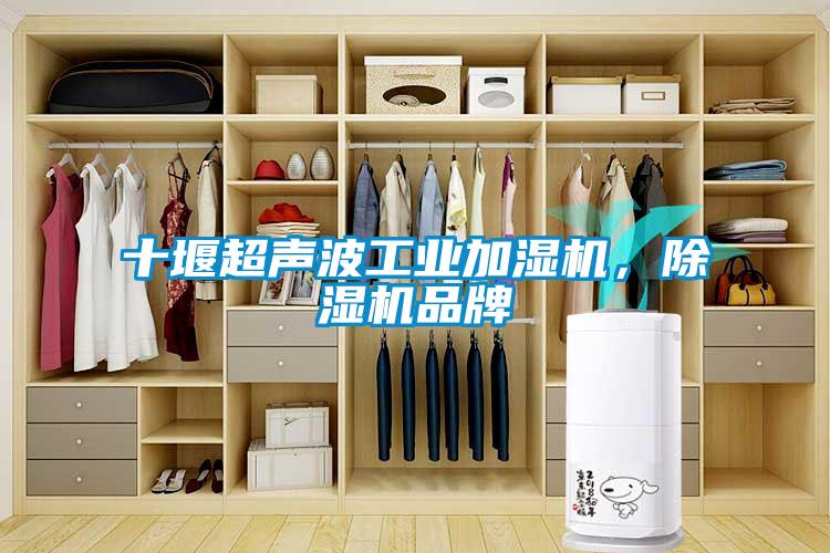 十堰超声波工业加湿机，蜜柚直播APP正版下载品牌