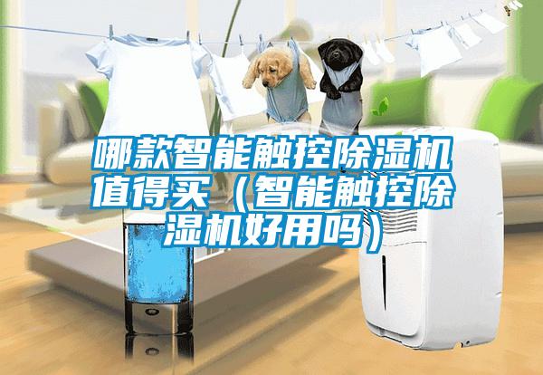 哪款智能触控蜜柚直播APP正版下载值得买（智能触控蜜柚直播APP正版下载好用吗）