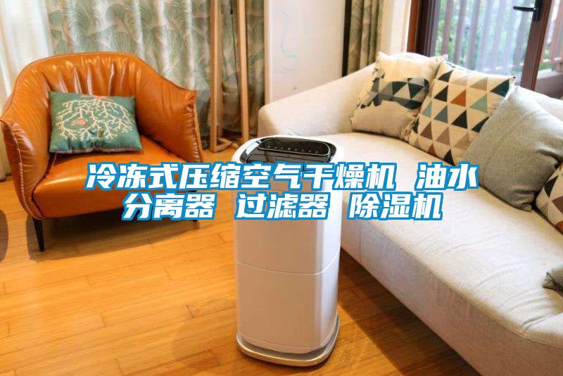 冷冻式压缩空气干燥机 油水分离器 过滤器 蜜柚直播APP正版下载