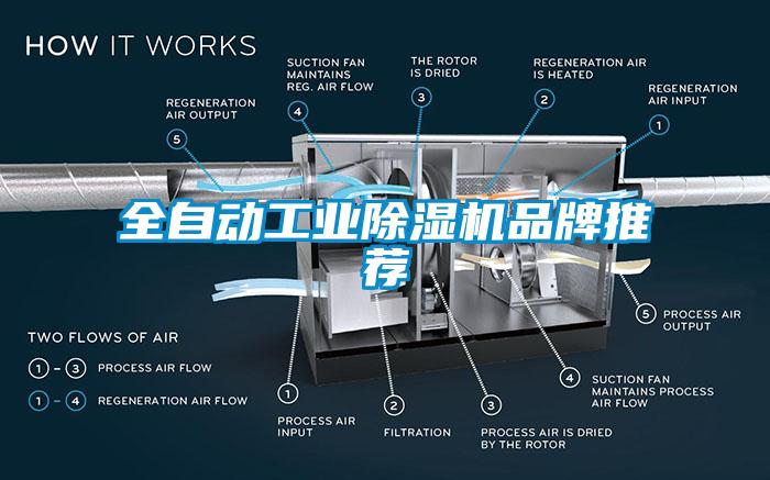 全自动工业蜜柚直播APP正版下载品牌推荐