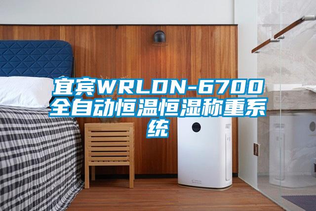 宜宾WRLDN-6700全自动恒温恒湿称重系统