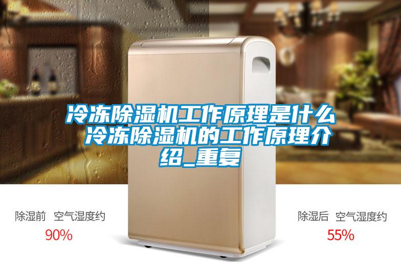 冷冻蜜柚直播APP正版下载工作原理是什么 冷冻蜜柚直播APP正版下载的工作原理介绍_重复