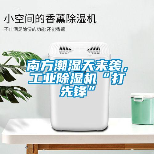 南方潮湿天来袭，工业蜜柚直播APP正版下载“打先锋”