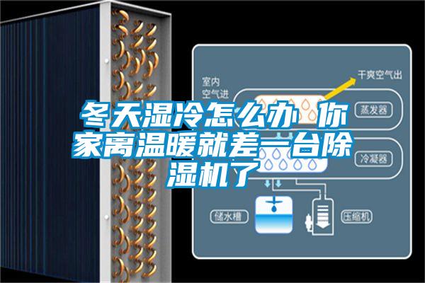 冬天湿冷怎么办 你家离温暖就差一台蜜柚直播APP正版下载了