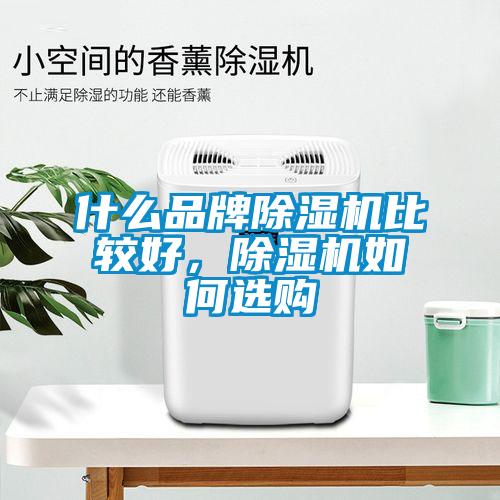 什么品牌蜜柚直播APP正版下载比较好，蜜柚直播APP正版下载如何选购