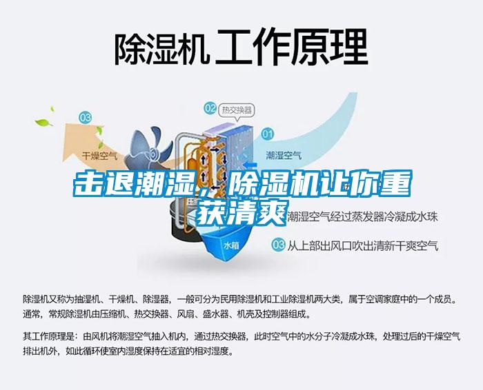 击退潮湿，蜜柚直播APP正版下载让你重获清爽