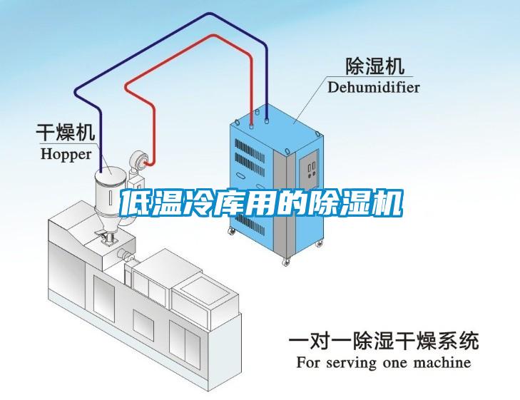 低温冷库用的蜜柚直播APP正版下载