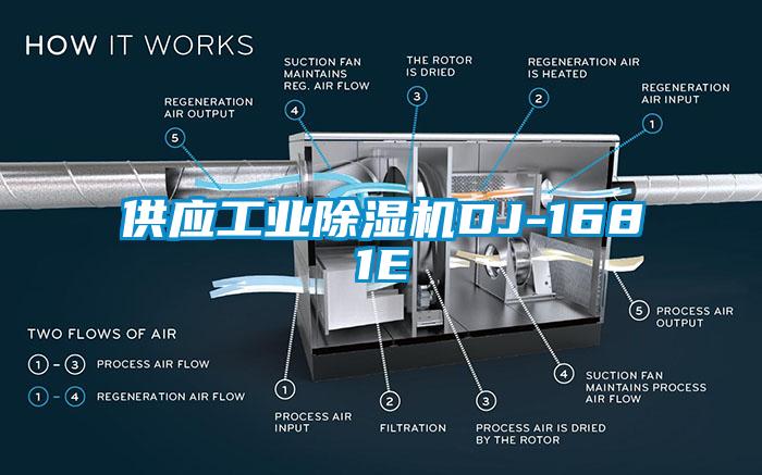 供应工业蜜柚直播APP正版下载DJ-1681E