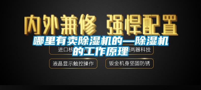 哪里有卖蜜柚直播APP正版下载的—蜜柚直播APP正版下载的工作原理