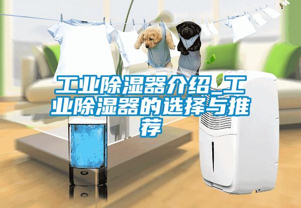 工业除湿器介绍_工业除湿器的选择与推荐