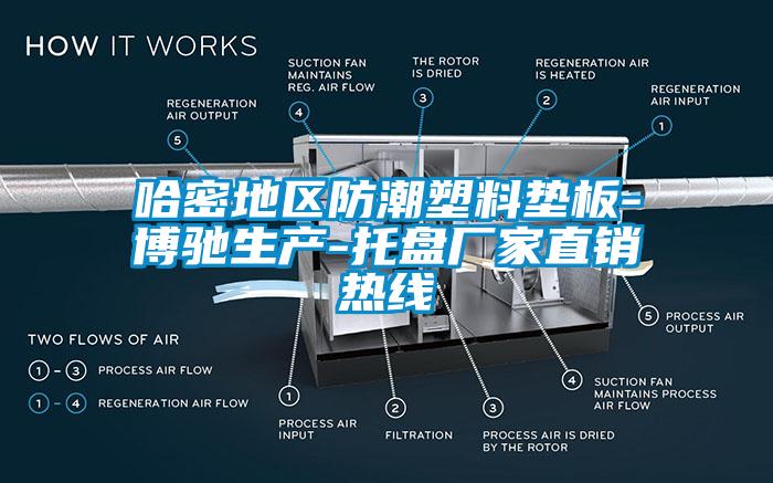 哈密地区防潮塑料垫板-博驰生产-托盘厂家直销热线