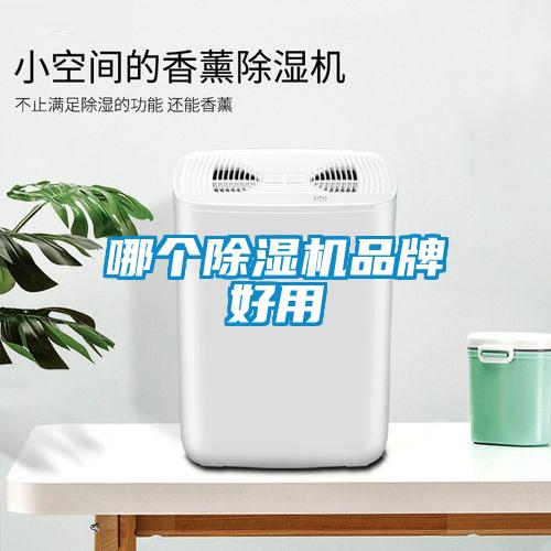 哪个蜜柚直播APP正版下载品牌好用