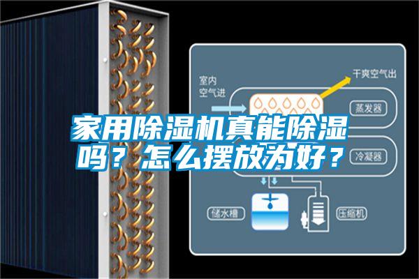 家用蜜柚直播APP正版下载真能除湿吗？怎么摆放为好？