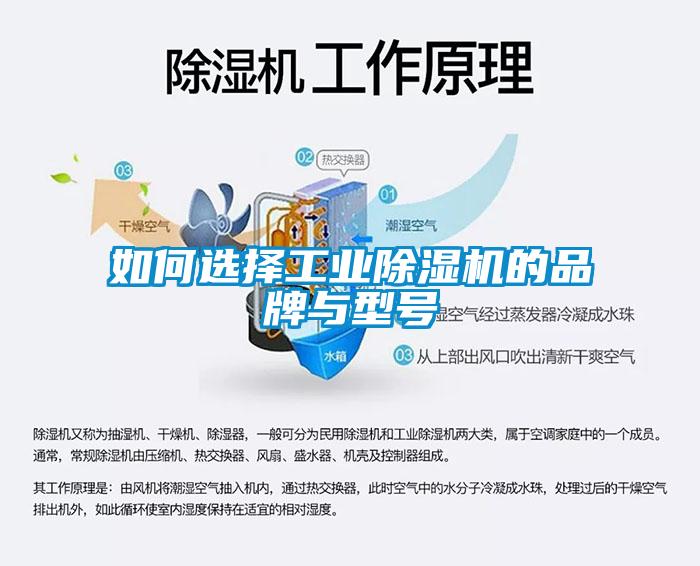 如何选择工业蜜柚直播APP正版下载的品牌与型号