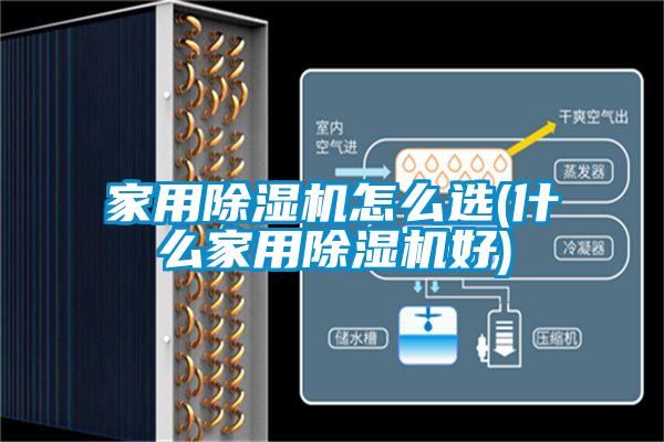 家用蜜柚直播APP正版下载怎么选(什么家用蜜柚直播APP正版下载好)