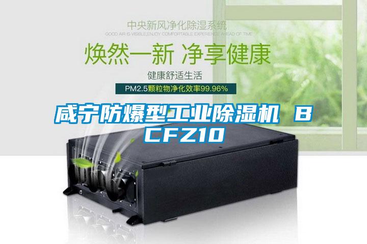 咸宁防爆型工业蜜柚直播APP正版下载 BCFZ10