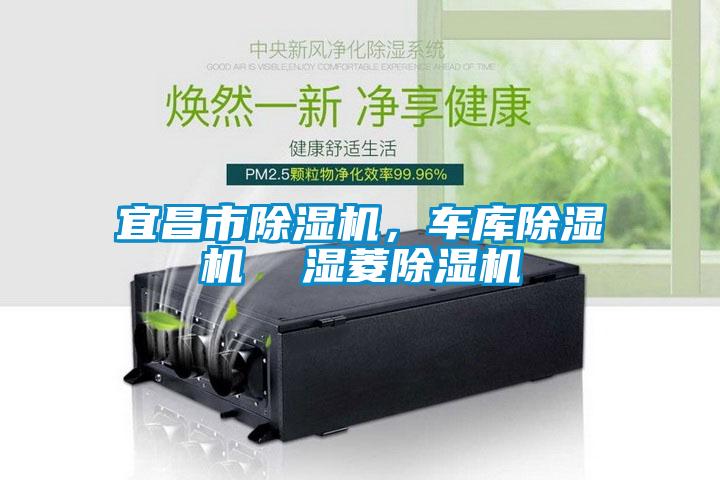 宜昌市蜜柚直播APP正版下载，车库蜜柚直播APP正版下载  湿菱蜜柚直播APP正版下载