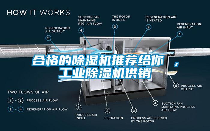 合格的蜜柚直播APP正版下载推荐给你 ，工业蜜柚直播APP正版下载供销